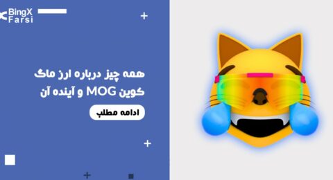 همه چیز درباره ماگ کوین