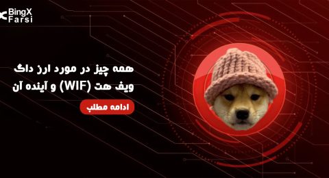 همه چیز درمورد ارز داگ ویف هت