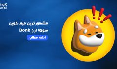 مشهورترین میم کوین سولانا ارز Bonk